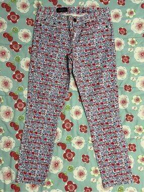 J. Crew Toothpick Floral Skinny Jeans size 28P